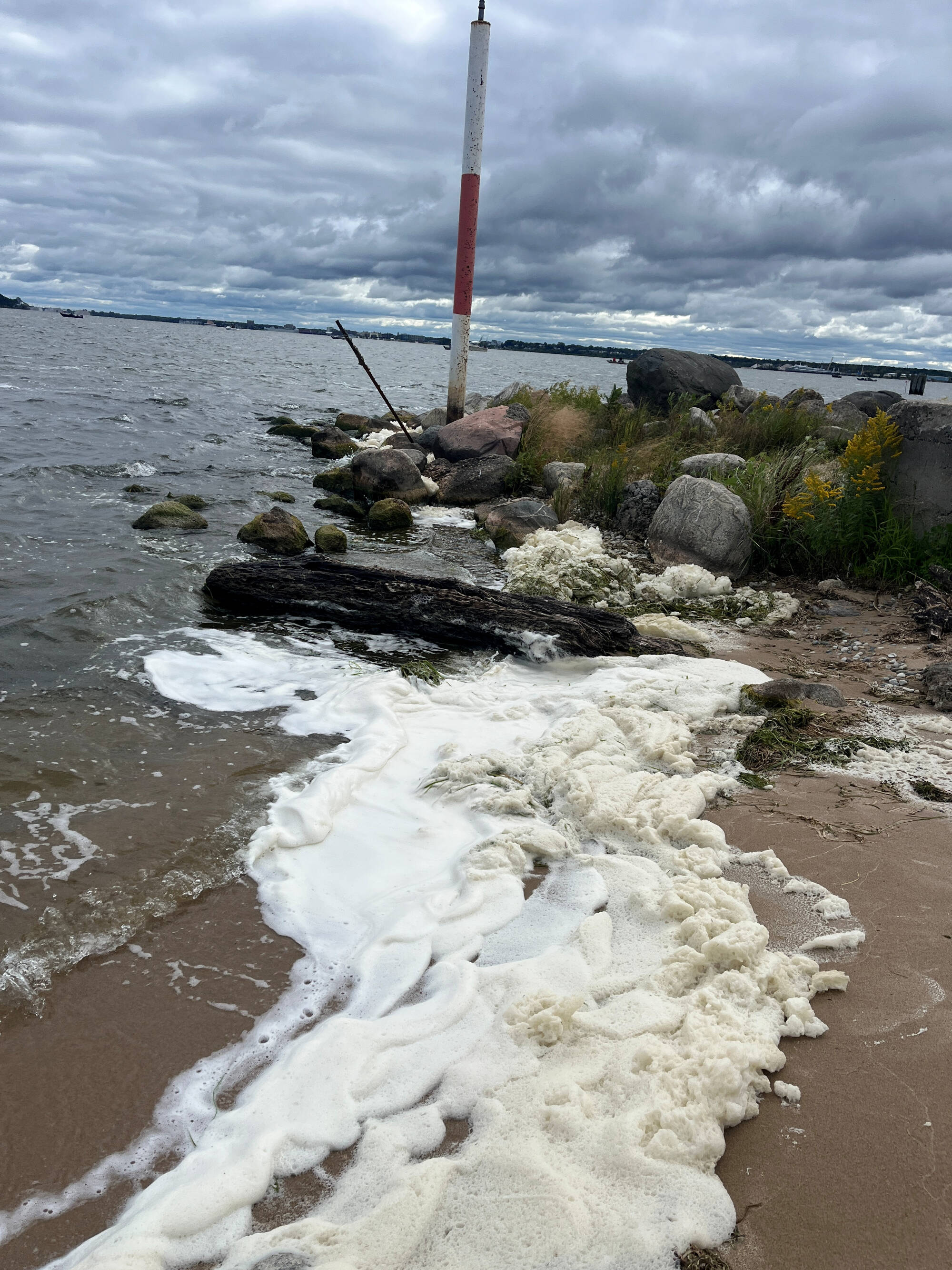 Collection of pfas foam at Harbour Towne Beach Sept 6, 2024